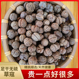 Ұɽ��ޢ�V���ݶ�ޢ�ݿܴ�ݿ������Ͽ��в�ޢ���ϲݿ���؛��