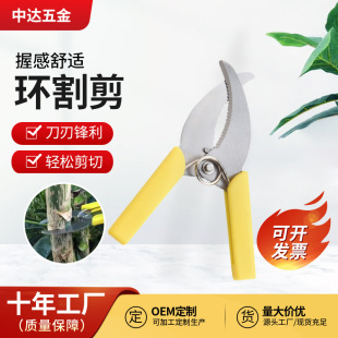 Gardening Tools Stainless Steel Ring Cutter Scissors Wholesale Tree Seedling Grafting Shears Straight Head Fruit Tree Bud Garden Tools