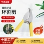园林直头嫁接园艺刀剪