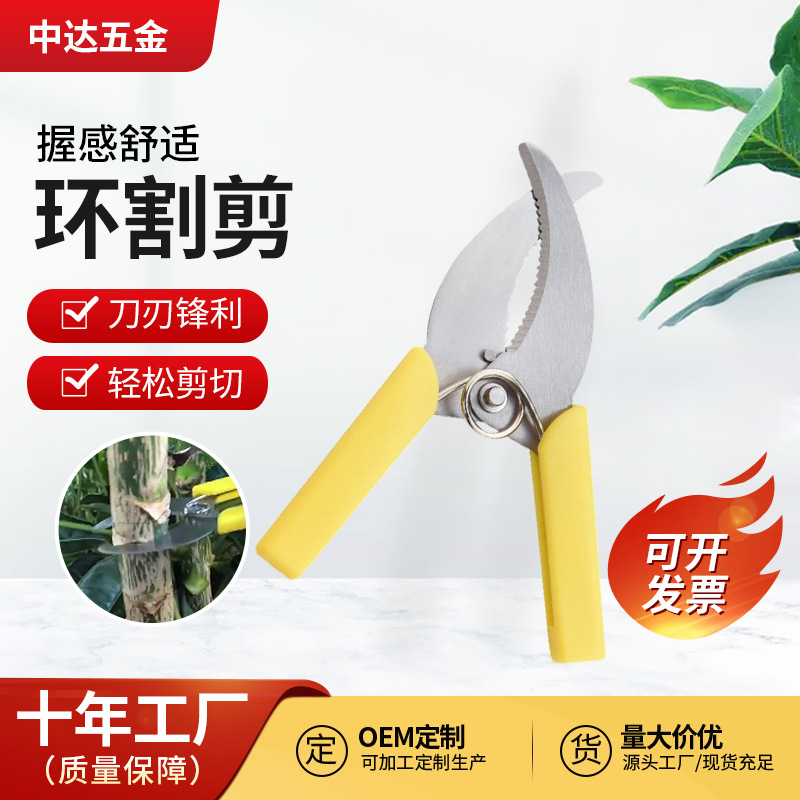 园艺工具不锈钢环割刀剪批发树苗嫁接剪直头果树接芽园林工具
