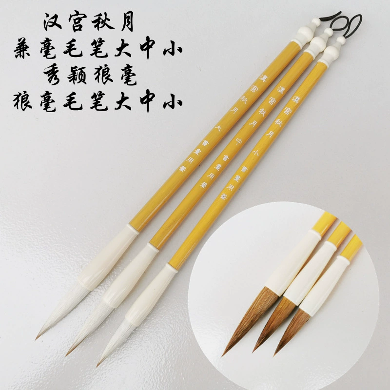 Кисть Каллиграфия Специальная кисть Китайская живопись и китайская живопись для начинающих начальной и средней школы