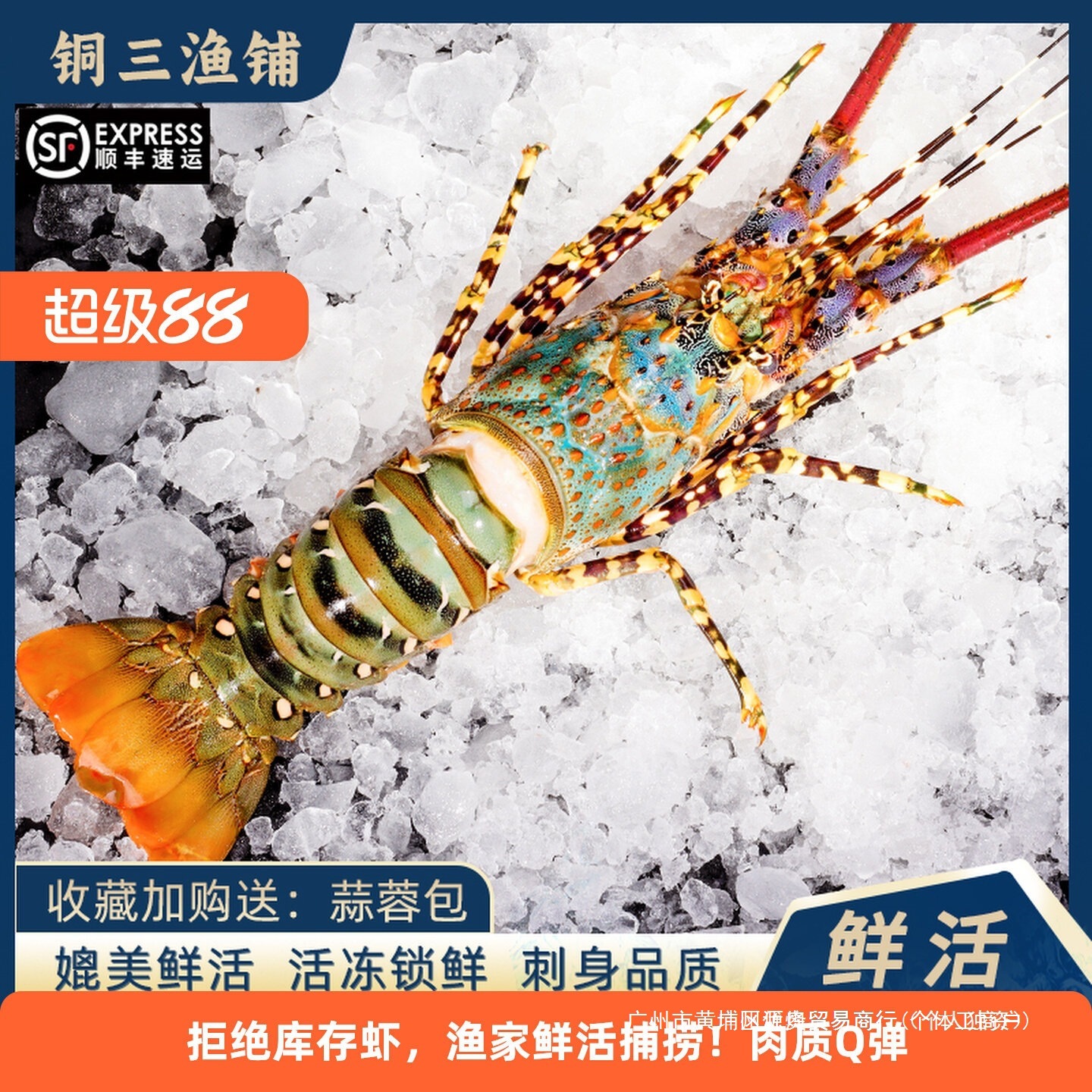 澳洲大龙虾特大3-8斤大花龙鲜活速冻小青龙波龙深水虾海捕鲜水产