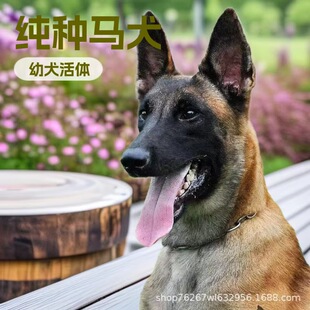 ���N�����r�RȮ�o�lȮ����Ȯ��Ȯ���w���RȮ܊��Ȯ�Ѿ�Ȯ���ﹷ��