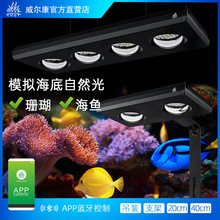 威尔康海水灯Z400SEA海缸海水海鱼珊瑚灯LPS软体LPS硬骨补光神灯