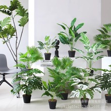 ����Gֲ�҃��b����Է���[�������m�ȿ��������㴻��٘����l