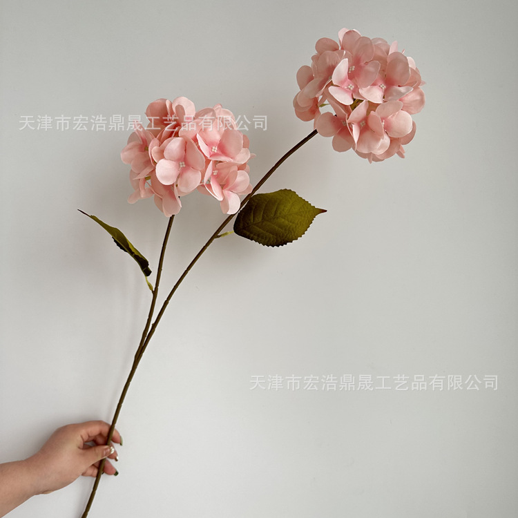 微信图片_202303211636142_副本