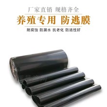 �Bֳ���÷���ĤPEĤ�з���r�����Bֳ��������Ĥ���χ���