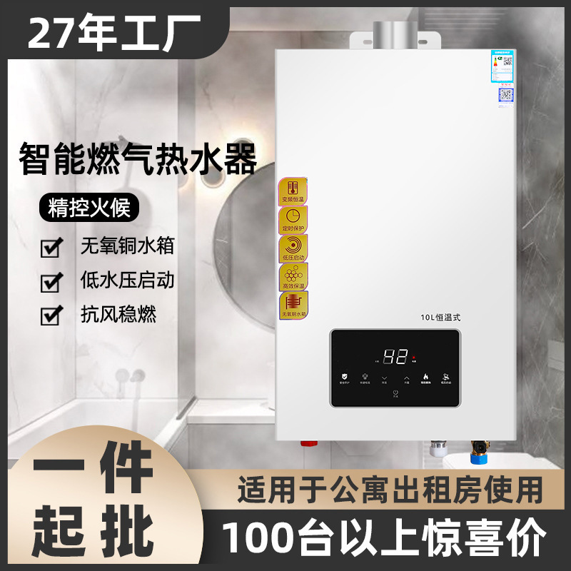Spot gas water heater rental apartment small intelligent gas water heater liquefied gas gas water heater