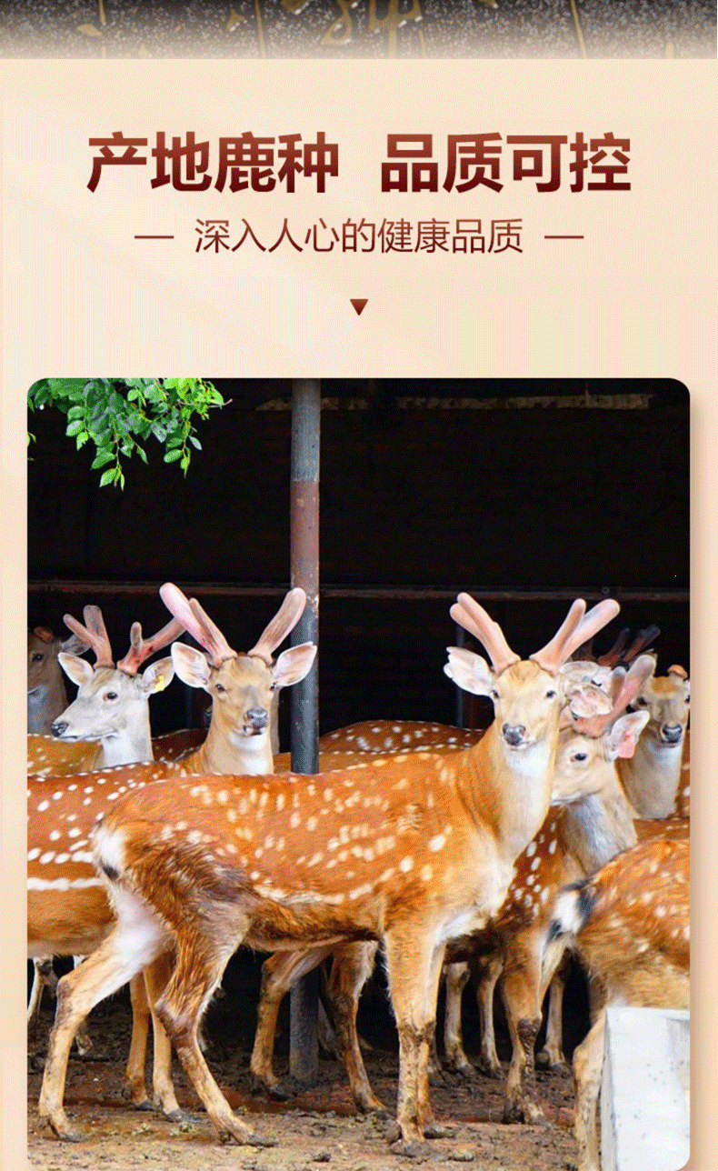 Deer Antler Slices Lu Rong Premium Dried Slices for Tonic Wine and Soup 100g Bag key features