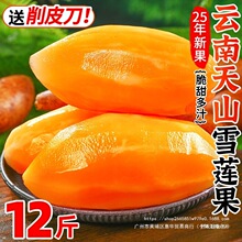 ��ɽѩɏ��12�����rˮ������������ЋD�t��ѩ�B���S����������]