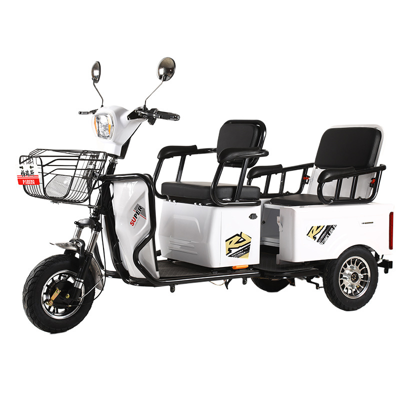 Электровелосипед Palez Small Bucket базовый 48V 600W