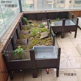 黄缘龟饲养箱安缘台缘闭壳半水龟生态造景植物环境养殖乌龟麦太保