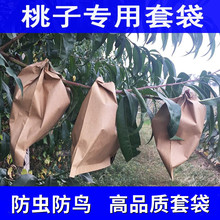 �����״�ˮ���Ҷ�������S�Ҽ������B�x���ӹ����״�