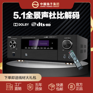 High-Power Home 5.1 Channel Subwoofer Home Theater Digital Bluetooth Amplifier with Bluetooth Connection