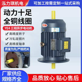 YE3/YE4节能三相异步电机 立卧式交流水泵电动机变频调速电机