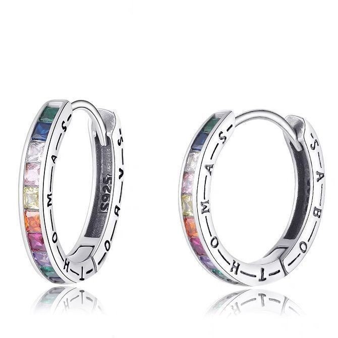 X313-A (Rainbow vermiculite earrings)