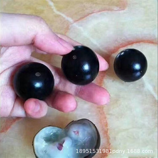 �M�ھޟo�Դ���ϲ����Ό�������������S���߶�ϡ���ϱ���ˮ��