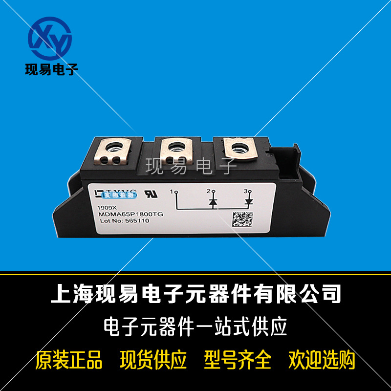 MDMA65P1800TG MDNA65P2200TG全新德国IXYS艾赛斯二极管模块直销