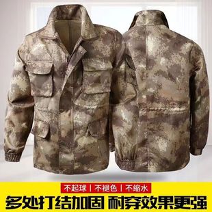 �����Բʷ����b��ʿ�Ӻ���ĥ���Բʷ��W����Ӗ�����ع������ڱ���