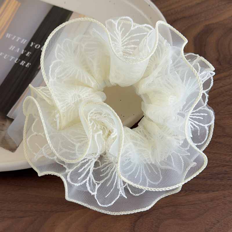 20250220-2025_02_20_13_21_IMG_