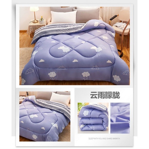 Quilt thin winter quilt spring and autumn quilt core student dormitory single winter warm home quilt air conditioning bedding winter