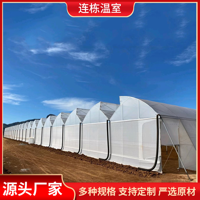 厂家直供连栋温室 连体温室建设 薄膜连栋温室草莓养殖日光温室