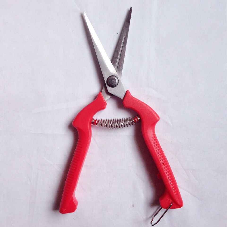 稀果剪名钻尖头细齿不锈钢花枝剪修枝剪摘果剪园艺采果剪刀锋利尖