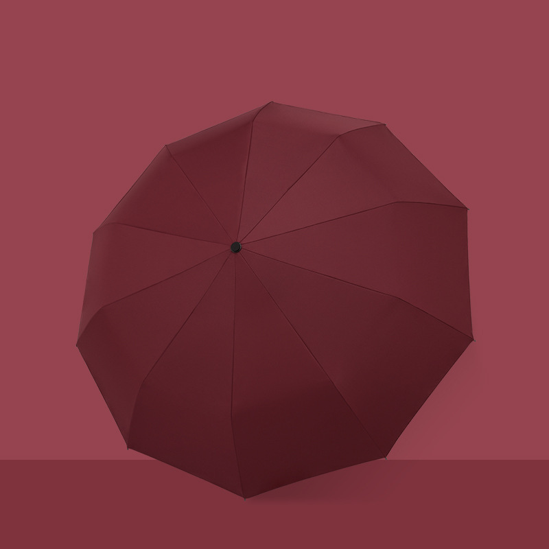 10ȫԶɡźڽɡ۵ɡӹ̿Ǽ̫