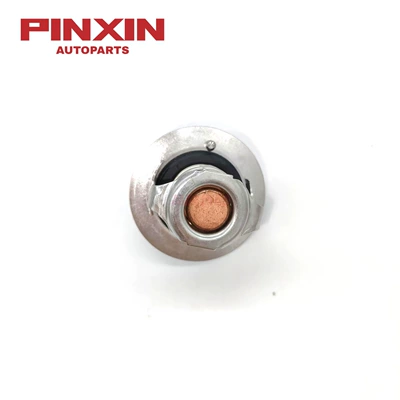 Thermostat 9091603078 Cross-Border, Thermostat
