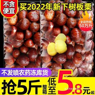 �����䡿�������r���Fժ���|����5�������Fȥë�����������_��