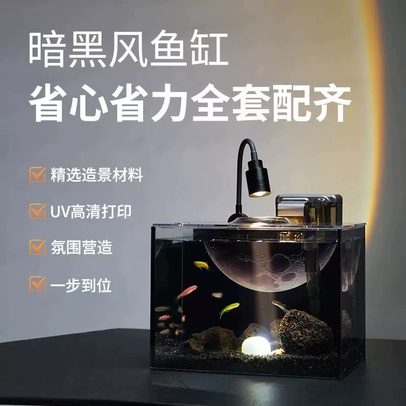 Темный творческий аквариум для ландшафта