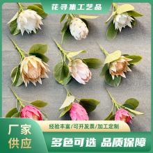 厂家批发仿真帝王花热带花婚庆白色大帝王南非普罗小帝王插花造景