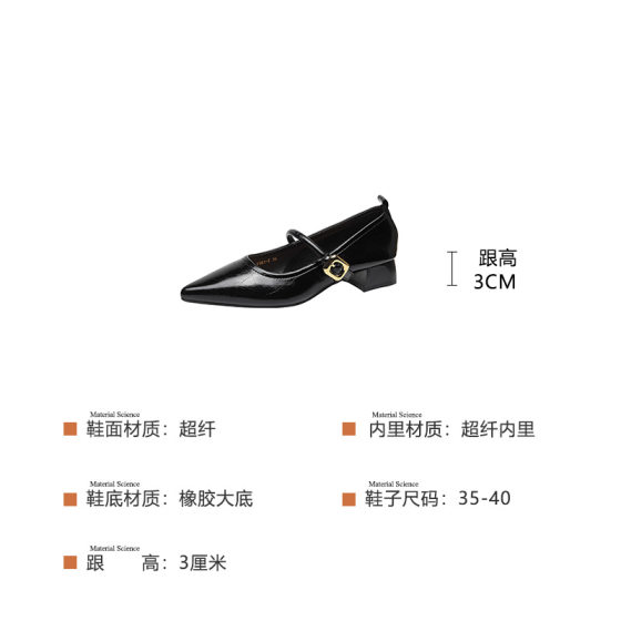French pointed toe single-layer shoes for women 2024 new low heel low mouth buckle chunky heel Mary Jane leather shoes Y303-2