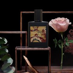 New plant secret perfume mysterious abyss for men and women long-lasting fragrance original high-end woody fragrance wholesale