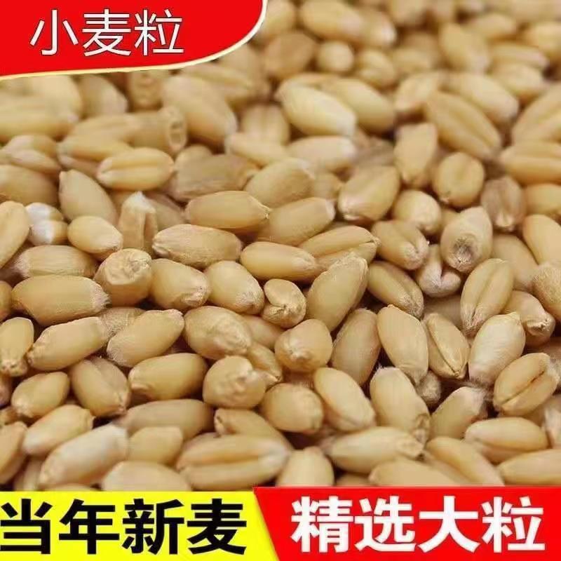 微信图片_20220614191240