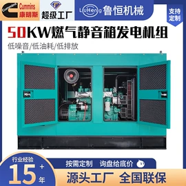 柴油发电机组;自吸泵;燃气发电机组