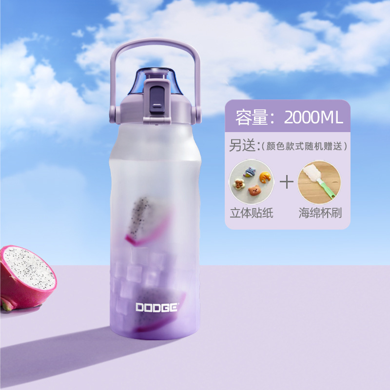 2025新款水杯大容量便携磨砂塑料杯子儿童吸管耐高温学生运动中式|undefined