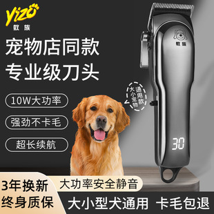 ��D��Ƽ��ô���Ȯ������ë�����ʌ��I���ﹷ������������