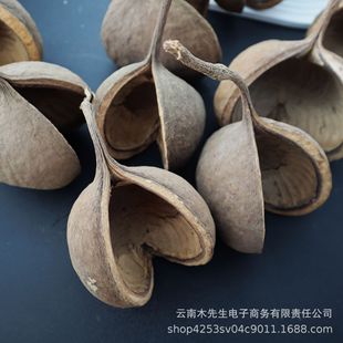 ��Ƽ�š����_��Ц��Ȼֲ������ɻ������˱�diy�ֹ��������lֲ��