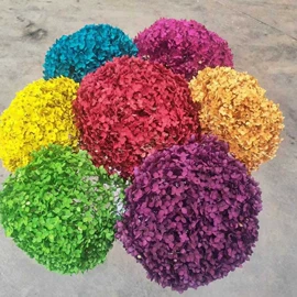 永生花;鲜花花艺制品;干花