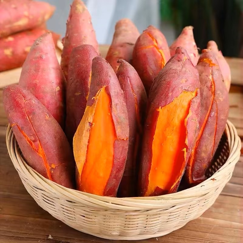 西瓜红蜜薯新鲜9斤板栗红薯小果农家自种红心地瓜糖心烤番薯蔬菜