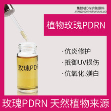植物玫瑰PDRN 护肤原料 微分子量DNA钠 小分子核苷酸抗縗修护