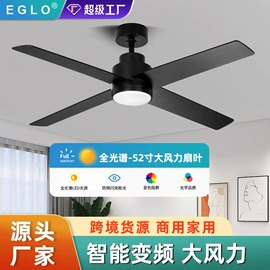 风扇灯;吊扇;灯控制器