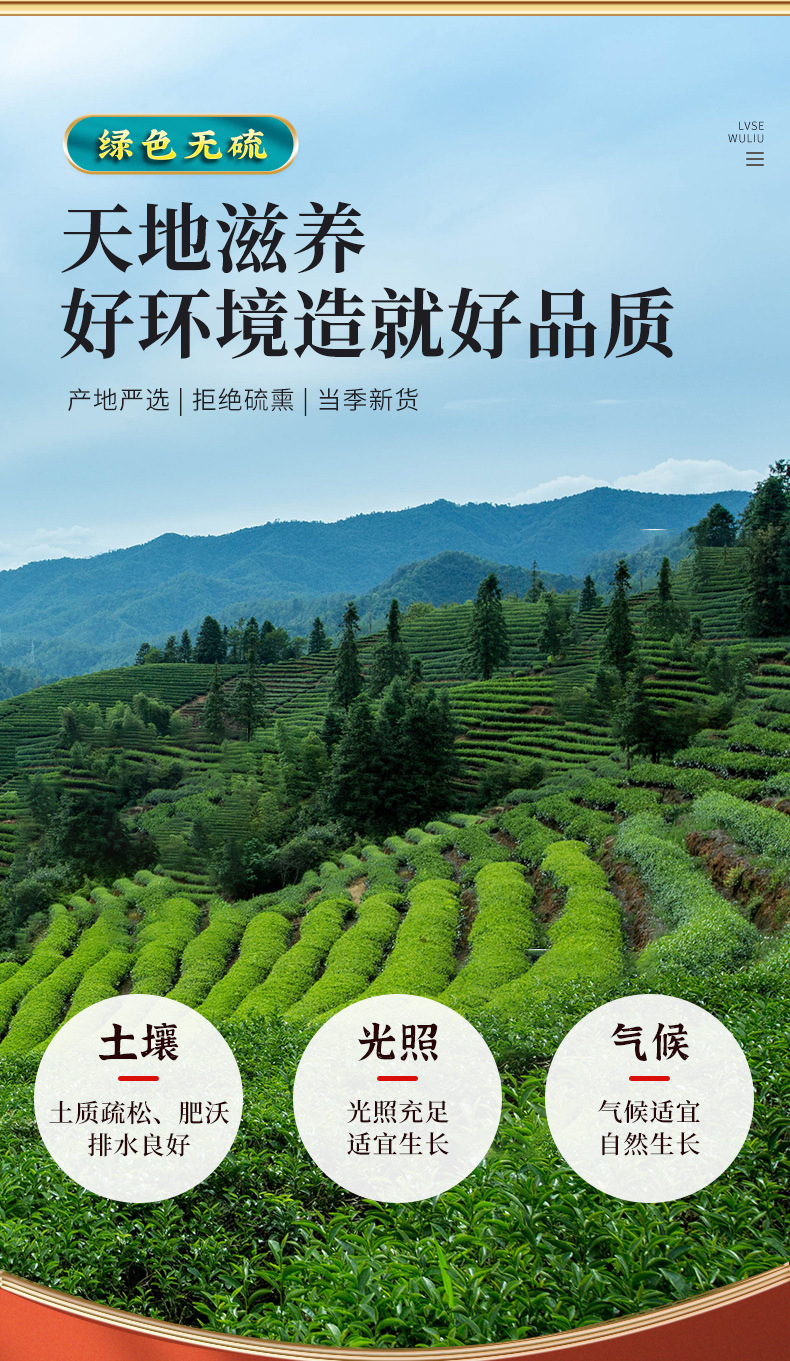 Chi Shao Root Slices (Paeonia lactiflora) — Dried Red Peony Root, 500g key features