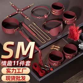 其他情趣用品;仿真阳具;女用穿戴