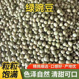 绿豌豆干货农家晒干豌豆颗颗饱满散装批发餐饮商用青豌豆足斤足两
