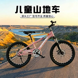 山地自行车;儿童自行车;滑板车