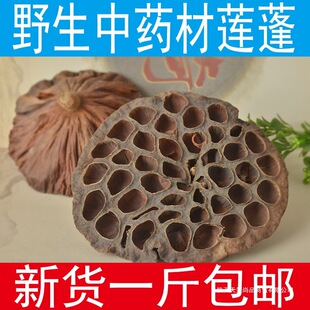 ���u�V��Ұ��ɏ�� ��ɏ� ɏ�� ��؛һ����]��؛��؛
