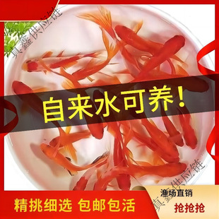 ôĽ~Bͻݽ~ˮˮ^p~ԁˮ~\~