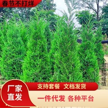 һlؘ ر ɰ؂Ȱ،ؘ֦Lۘ